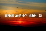 属兔属龙相冲？揭秘生肖相冲真相