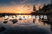 梦见土里面好多豆虫子在爬(梦见满地豆虫是什么意思)