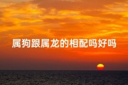 属狗跟属龙的相配吗好吗女人—属狗女与属龙男：缘定三生，情意绵绵