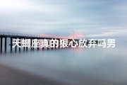 天蝎座真的狠心放弃吗男生(天蝎座决定放手会彻底放手么)