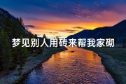 梦见别人用砖来帮我家砌房子、梦见别人用砖来帮我家砌房子好不好