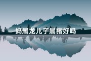 妈属龙儿子属猪好吗