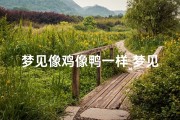 梦见像鸡像鸭一样_梦见像鸡一样的动物