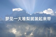 梦见一大堆梨就装起来带走、梦见兜里装梨