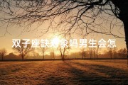 双子座缺对象吗男生会怎么样;双子座缺对象吗男生会怎么样呢