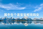 属牛生个龙宝宝相克吗女_属牛生龙女宝宝相克吗？揭秘命运之谜