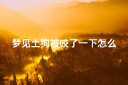 梦见土狗被咬了一下怎么办、做梦梦到土狗