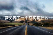 梦见养了一个红狗狗什么意思-梦见养了一个红狗狗什么意思啊