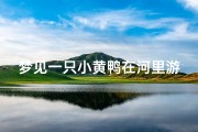 梦见一只小黄鸭在河里游_梦见一只小黄鸭在河里游来游去