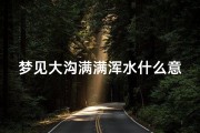 梦见大沟满满浑水什么意思_梦见大沟满满浑水什么意思周公解梦
