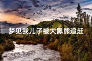 梦见我儿子被大黑熊追赶_梦见自己的孩子被熊抓伤