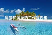 属猪和属龙的工作是否相配(属猪属龙工作搭配：和谐共赢的秘密)