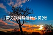 梦见我妈妈是什么奖(做梦梦见我妈妈了)