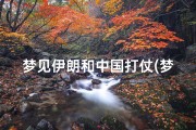 梦见伊朗和中国打仗(梦到伊朗人)