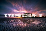 双子座眼睛高冷吗男生面相怎么样;双子座男生：高冷眼神下的神秘面相