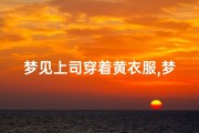 梦见上司穿着黄衣服,梦见上司穿新衣服