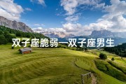 双子座脆弱—双子座男生：挫败感满满，如何重拾信心？