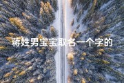 蒋姓男宝宝取名一个字的名字、蒋氏男宝宝一字命名：传承家业，智慧启航