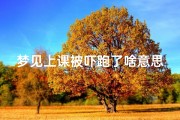 梦见上课被吓跑了啥意思;梦见上课的情景
