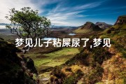 梦见儿子粘屎尿了,梦见儿子屎尿拉在自己身上
