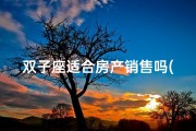 双子座适合房产销售吗(双子座2021年适合买房吗)