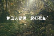 梦见夫妻俩一起打死蛇(梦见夫妻一起把蛇打死)