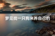 梦见找一只狗来养自己的家、梦见找一只狗来养自己的家里