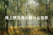 晚上梦见养小猪什么意思—晚上梦到养猪是什么预兆