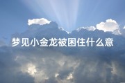 梦见小金龙被困住什么意思—梦见小金龙是什么意思