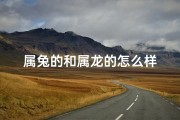 属兔的和属龙的怎么样