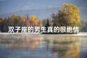 双子座的男生真的很绝情吗_双子座男生：绝情还是深情，真相揭晓