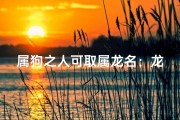 属狗之人可取属龙名：龙腾虎跃，犬跃龙飞