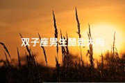 双子座男生醋劲大吗