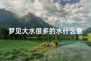 梦见大水很多的水什么意思—梦见大大水