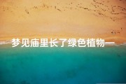 梦见庙里长了绿色植物—梦见寺庙里开满花是什么意思