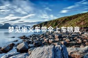 梦见坐火车带伞上车啥意思;梦见坐火车把行李丢了什么意思
