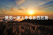 梦见一家人争夺东西把我误伤了—梦到家人把别人误伤了