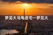 梦见大乌龟进宅—梦见大乌龟进宅什么意思