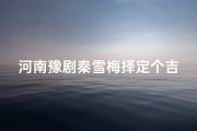 河南豫剧秦雪梅择定个吉日伴奏;《秦雪梅择吉日，豫剧古韵飘香》