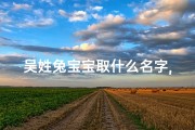 吴姓兔宝宝取什么名字,女孩特别的、《2023新春，兔宝宝吴姓男孩，吉祥如意迎新春》