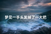 梦见一手头发掉了一大把-梦见手头发一抓掉了一大半