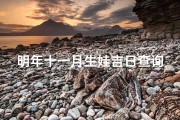 明年十一月生娃吉日查询;明年十一月生娃吉日查询表