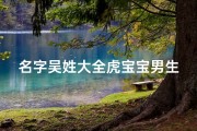 名字吴姓大全虎宝宝男生—吴姓大全虎宝宝男生：喜庆降临，未来可期