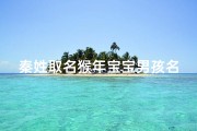 秦姓取名猴年宝宝男孩名字大全_《猴年秦姓宝宝男孩名字精选大全》