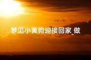 梦见小黄狗迎接回家_做梦梦到小黄狗带回家