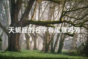 天蝎座的名字有寓意吗男生(天蝎男：神秘魅力，掌控命运的王者之路)