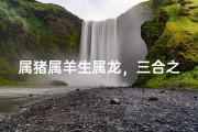 属猪属羊生属龙，三合之家福满堂