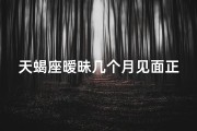 天蝎座暧昧几个月见面正常吗