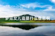 梦见女儿盗墓什么意思啊,梦见女儿家被盗