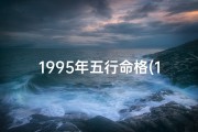1995年五行命格(1995年出生人五行)